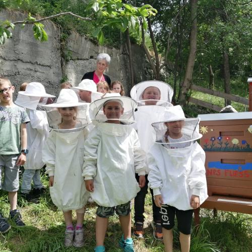 Bild 6