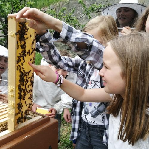 Bild 8