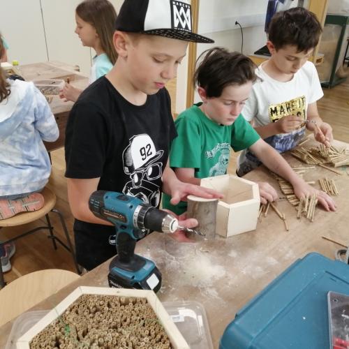 Bild 10